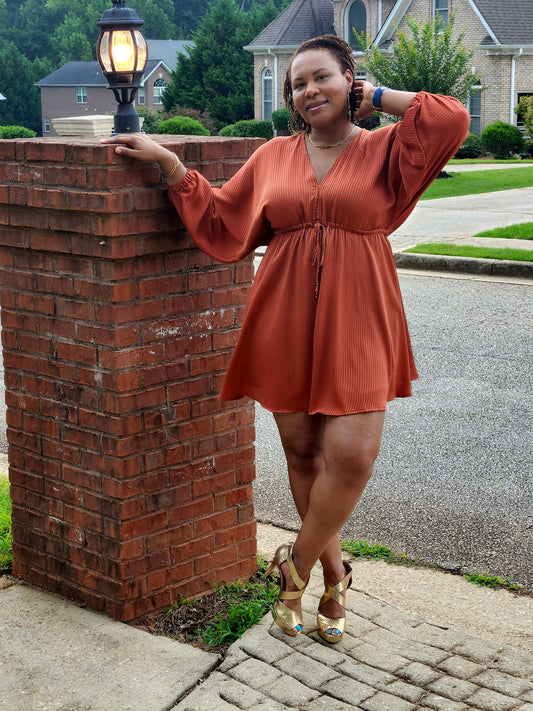 Ginger Swing Dress