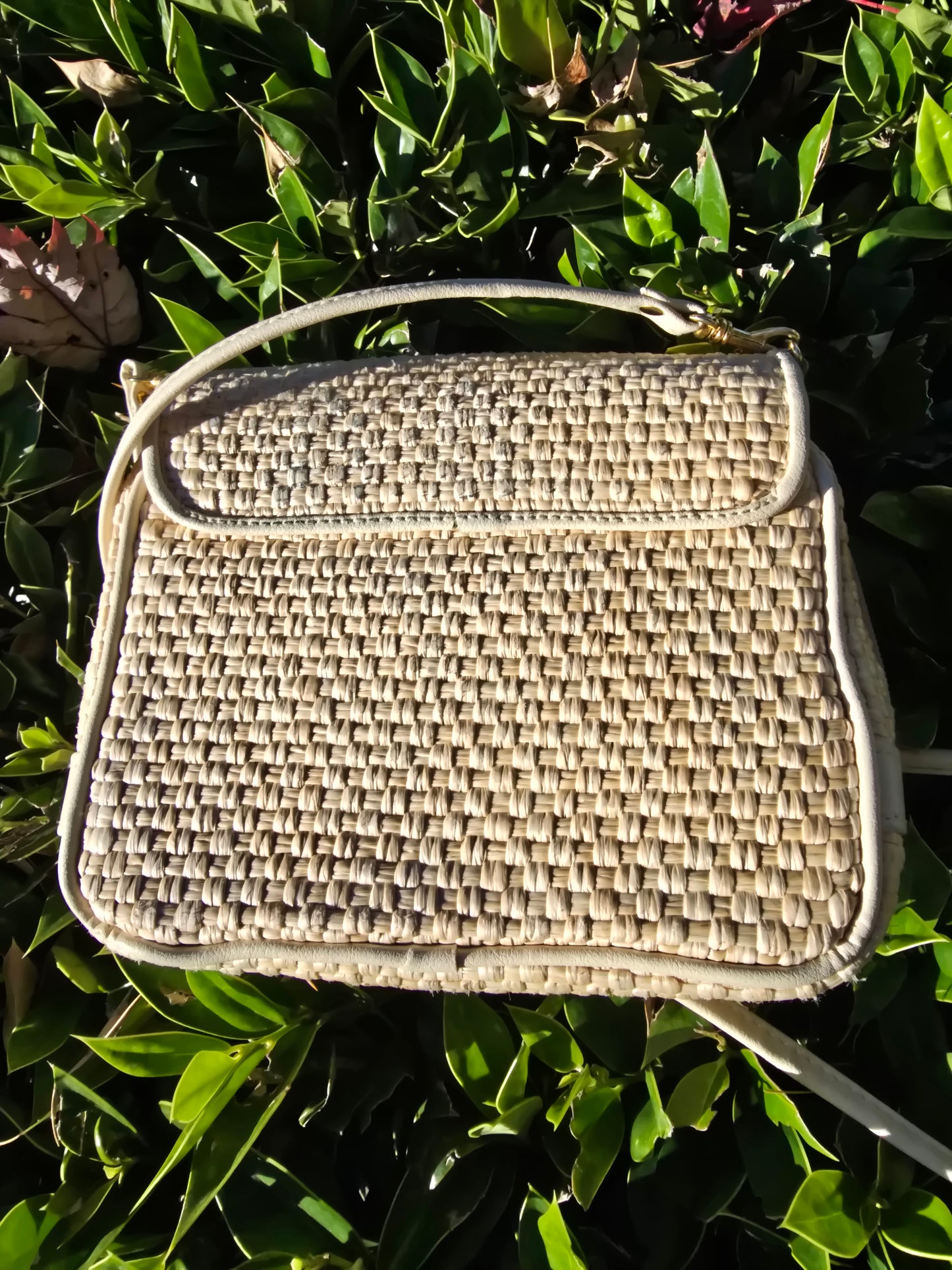 Etienne Aigner Vintage Woven Crossbody Bag
