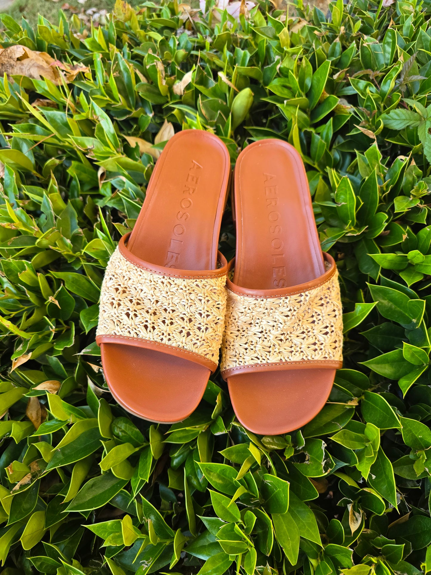 Aerosoles Raffia Block Heel Sandal Sz 7