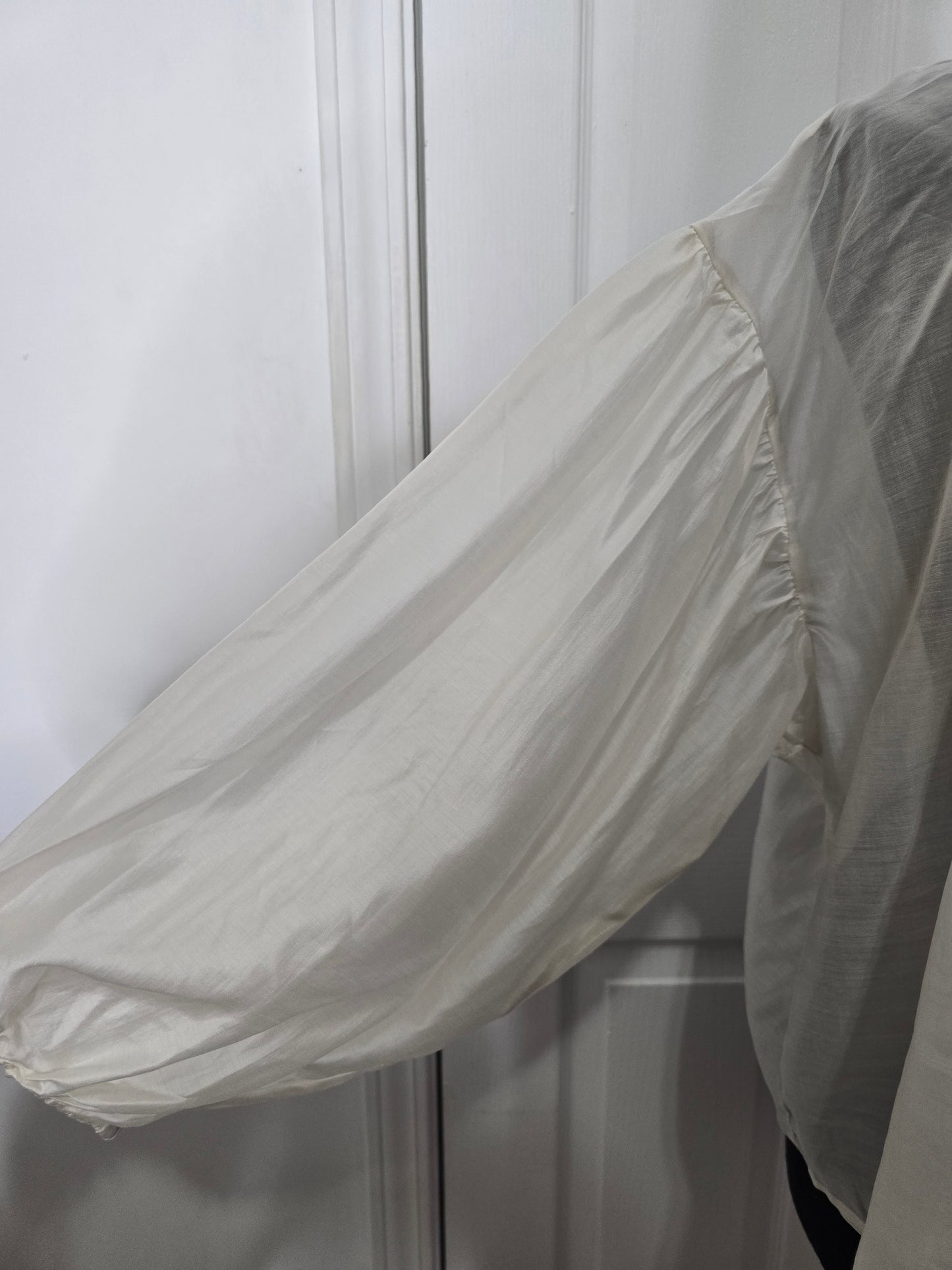 Future Collective Sheer Balloon Sleeve Blouse Sz 1X