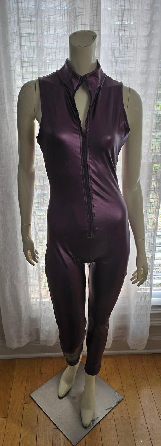 Ellie & Kate Purple Catsuit