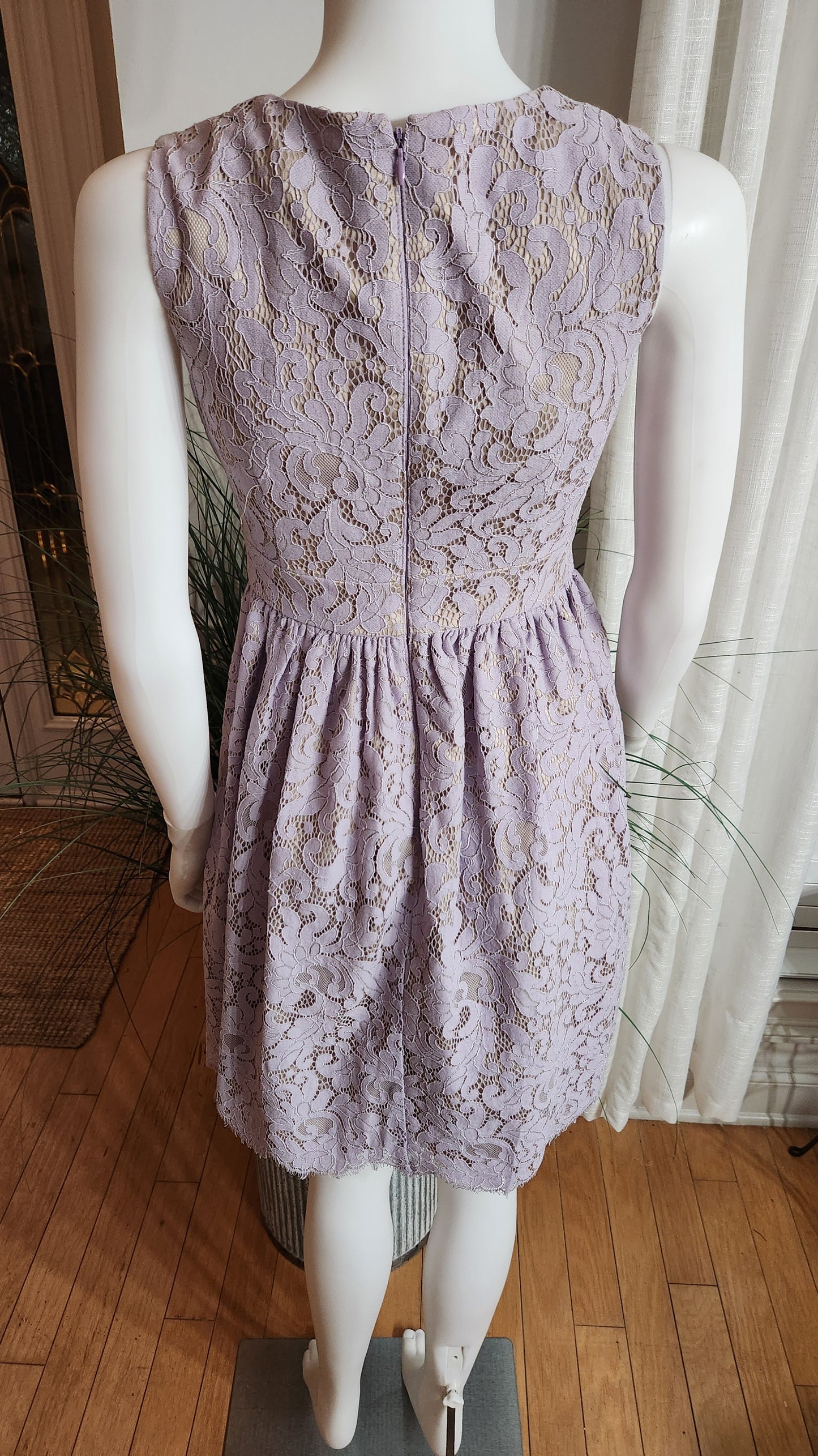 Eliza J Lavender Lace Dress Sz 0 Petite