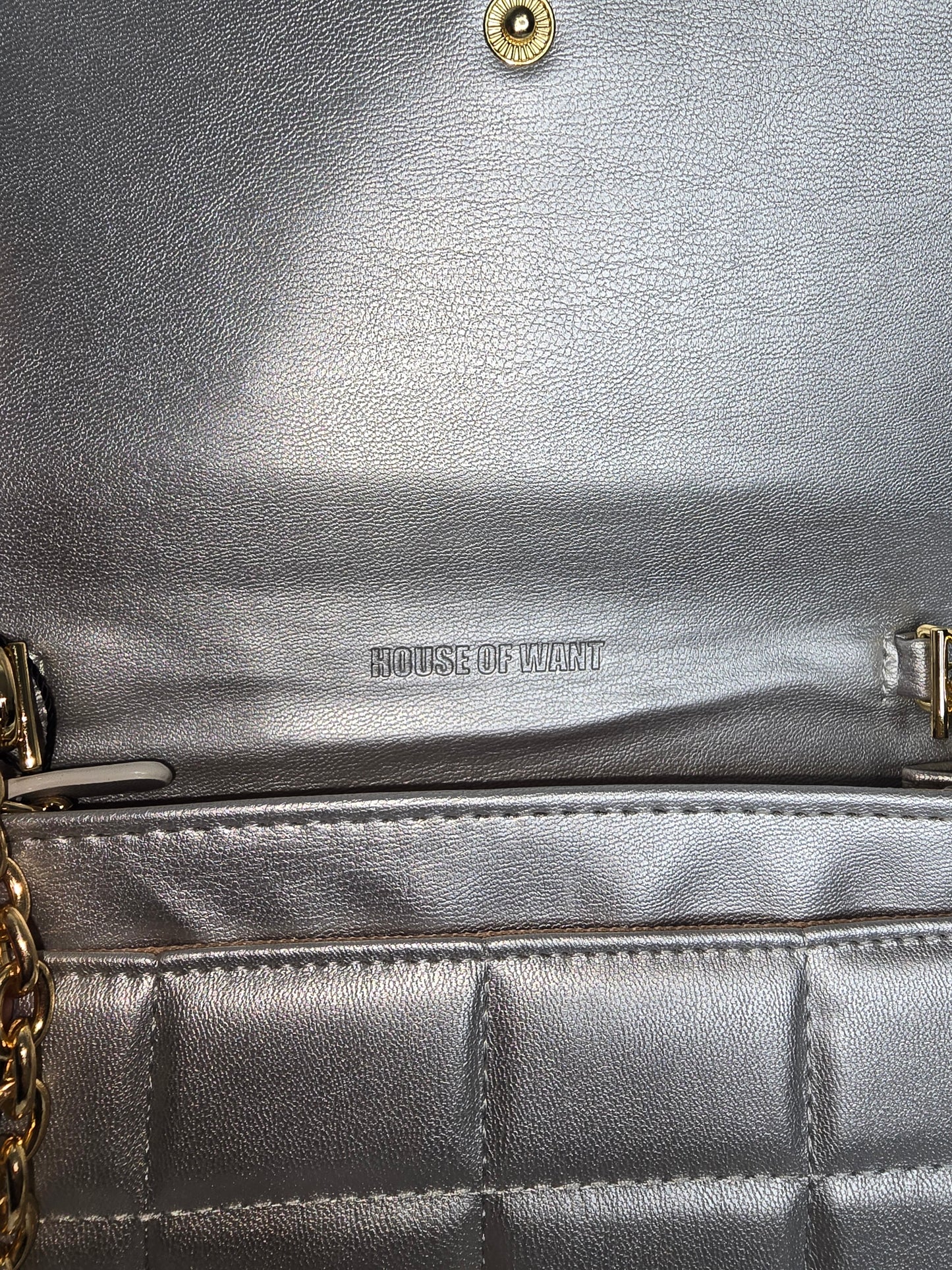 House of Want Silver Vegan Chain Crossbody