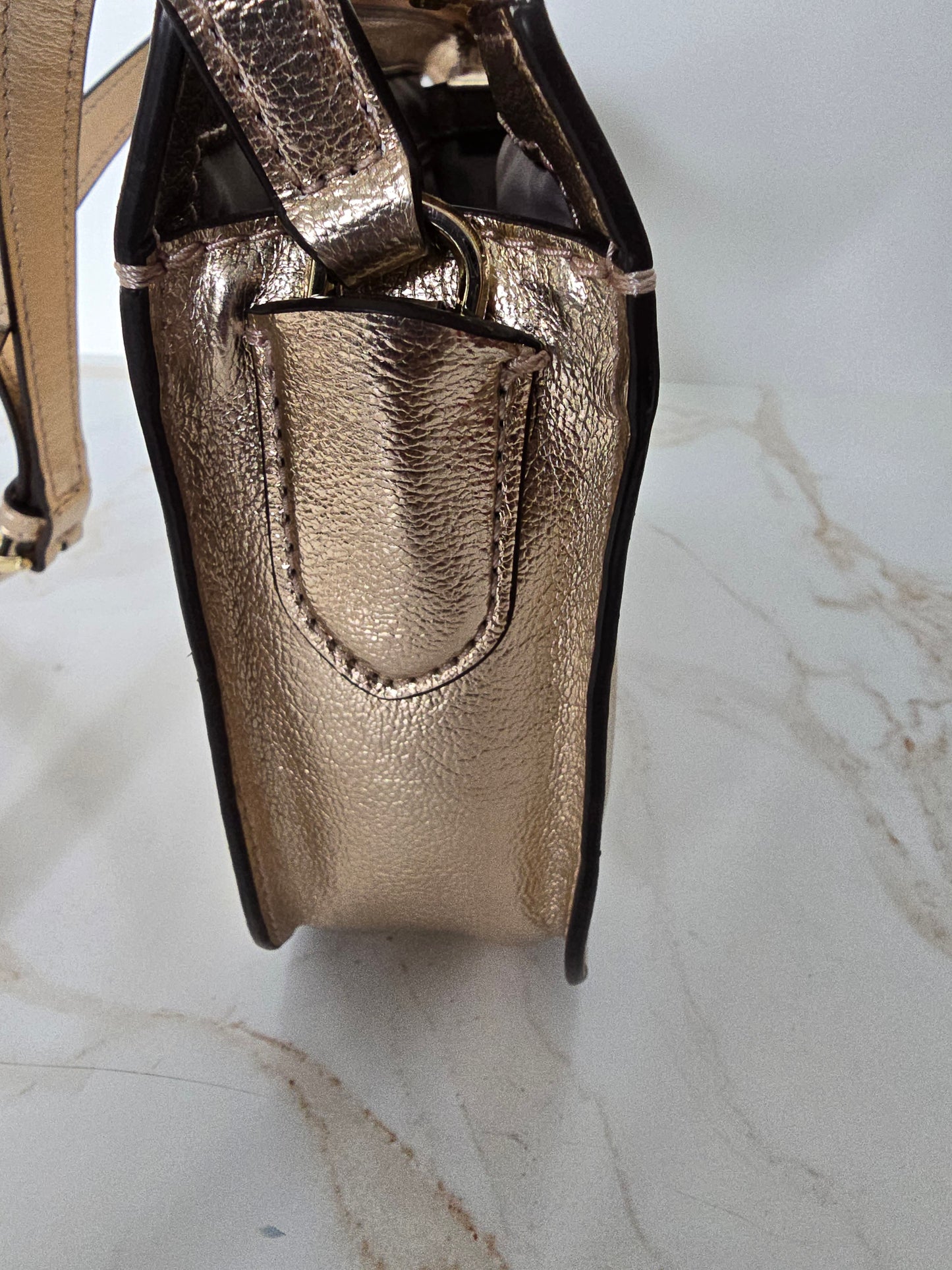 Kate Spade Holiday Rose Crossbody Bag