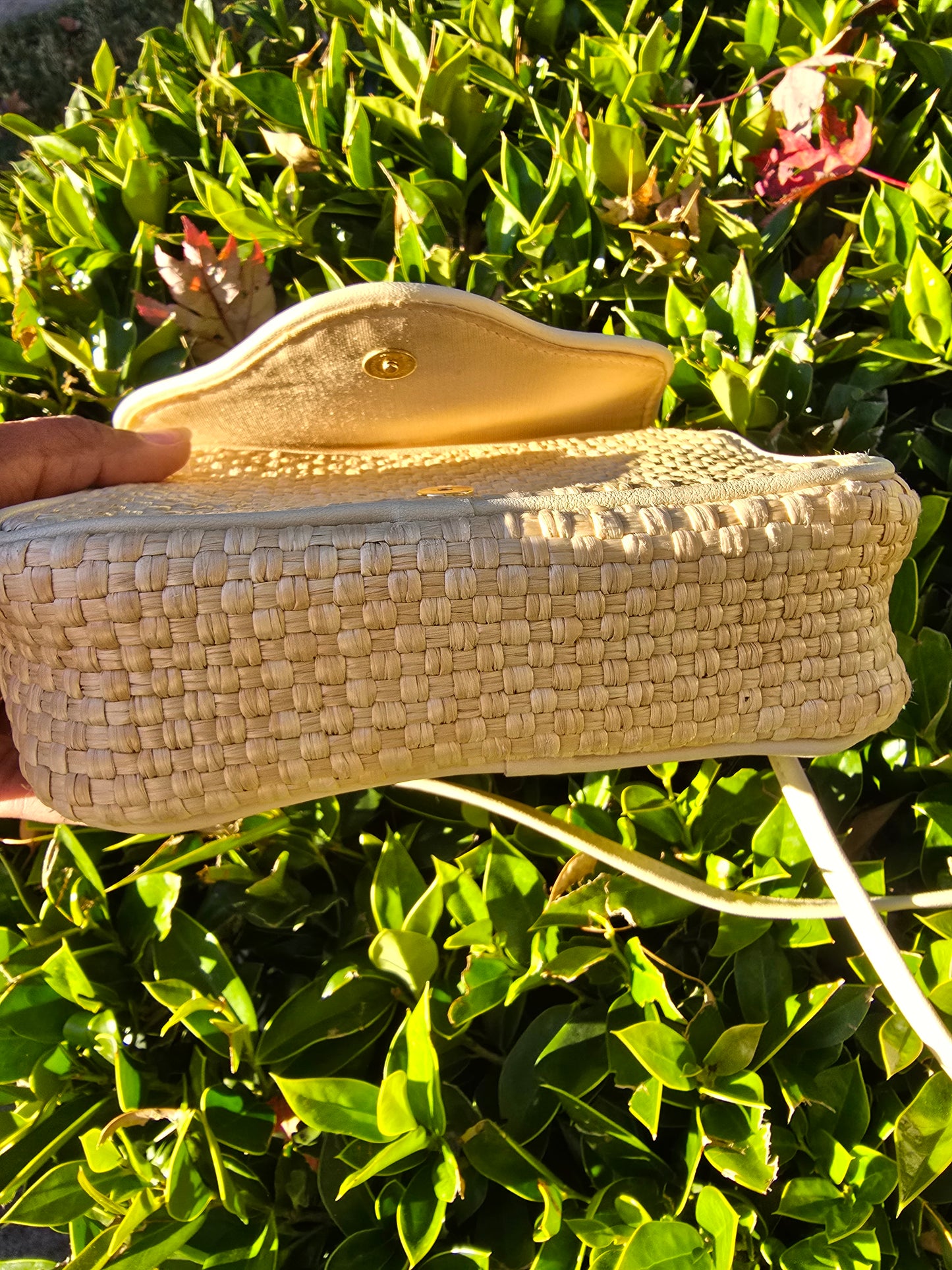 Etienne Aigner Vintage Woven Crossbody Bag